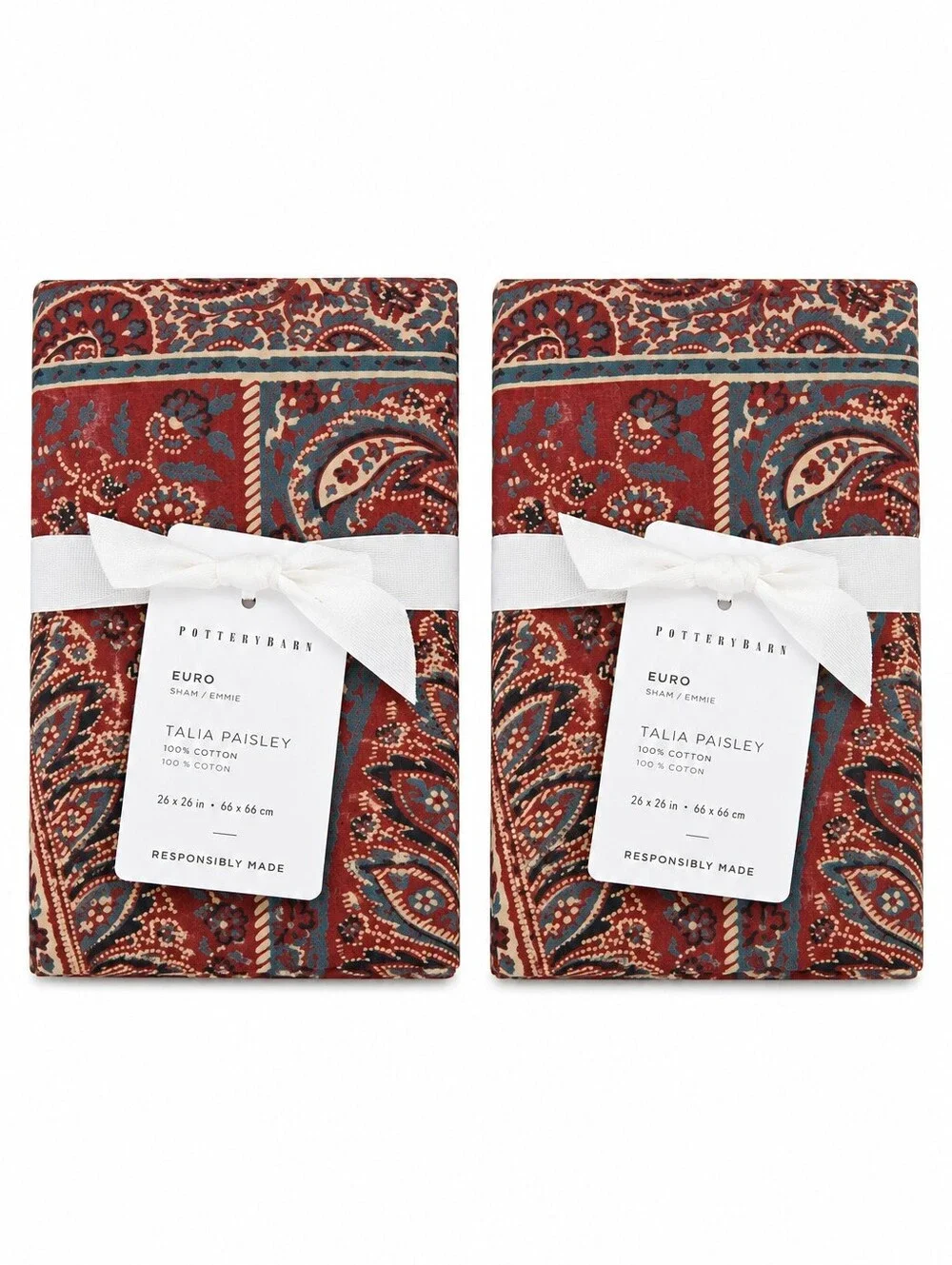Pottery Barn Talia Paisley Percale Euro Shams Set of 2